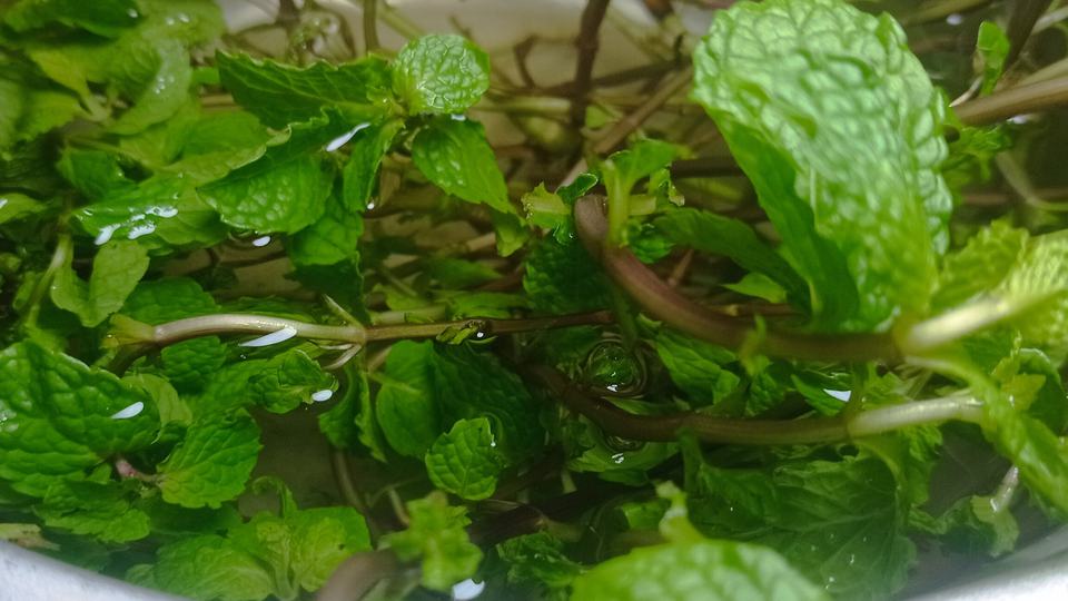 Peppermint & Spearmint Black Tea — key ingredient