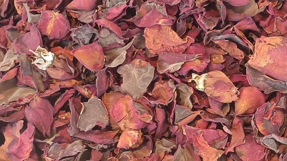 Rose Cardamom Green Tea — key ingredient