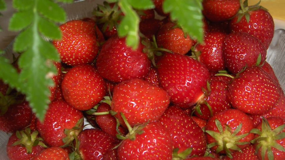 Strawberry Black Tea — key ingredient