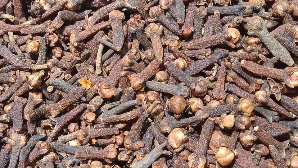 Masala Tea — key ingredient close-up
